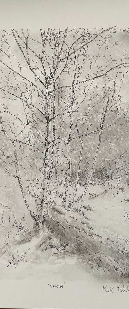 Snow by Mark Thirlwell