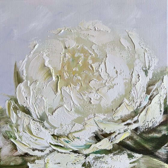 Cozy peony in a frame