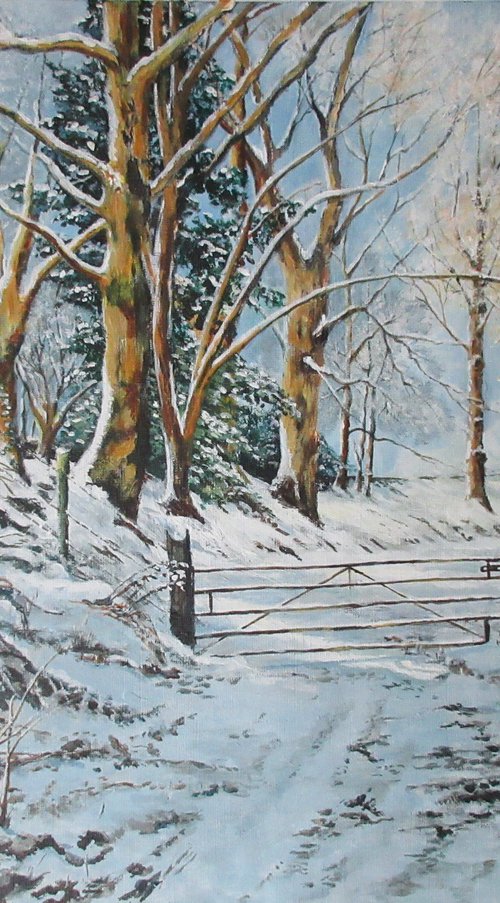 Sun and Snow Near Dalefold Farm Poynton by Max Aitken