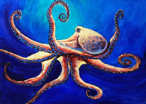 Octopus