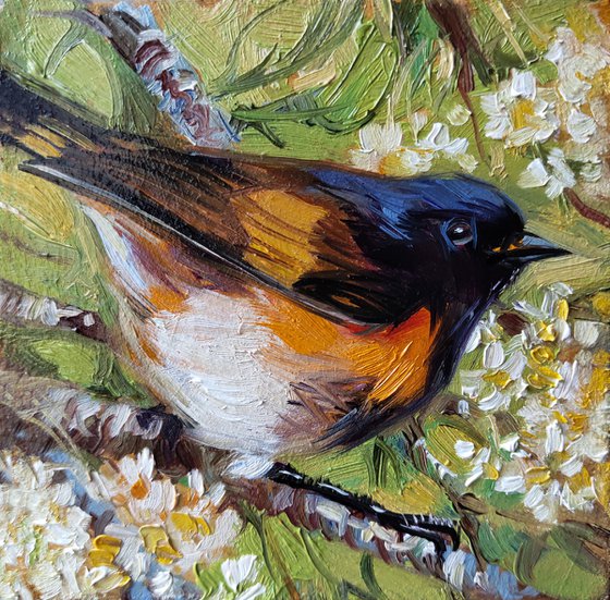 American redstart Bird mini oil painting original 4x4, Small frame art bird wall art on blossom branch Host gift