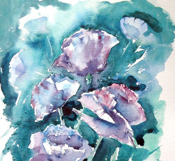 Beautiful poppies