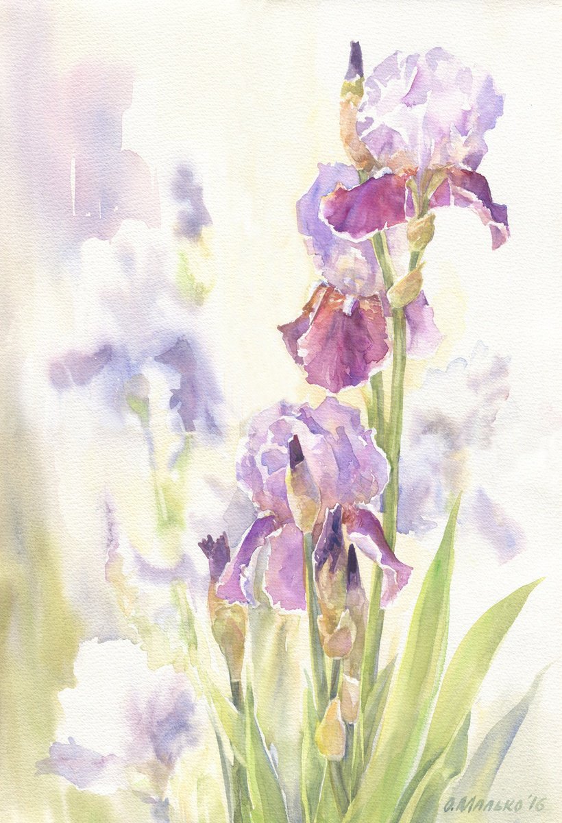 Irises in a garden / ORIGINAL watercolor 15x22 (38x56cm) by Olha Malko