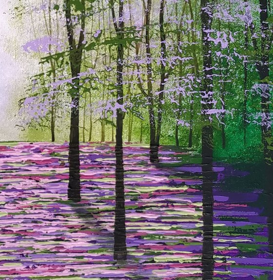 Evergreen Glade