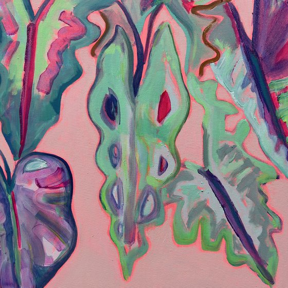Alocasia Study III