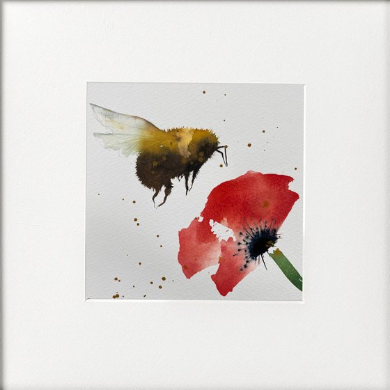 Bumble Bee Red Poppy framed