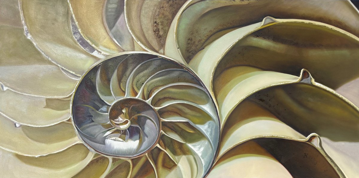 NAUTILUS POMPILIUS (V) by IrinaGoldenfish