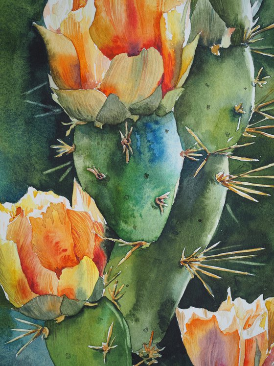 Sunny cactus flower