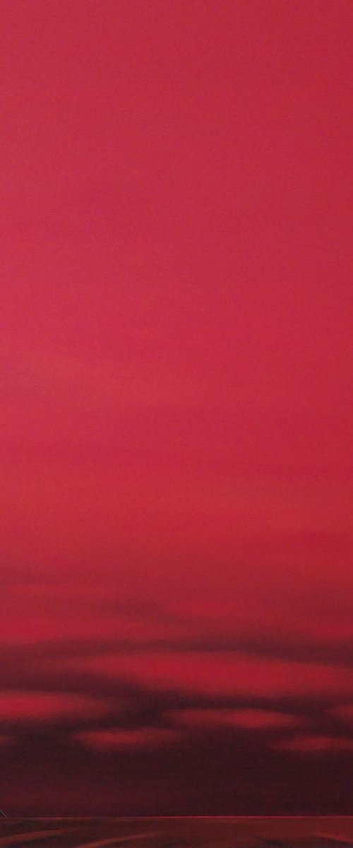 Yesterday evening, red roofs, red sky. by Nelly van Nieuwenhuijzen