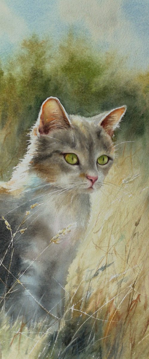 Summer Kitten watercolor by Olga Beliaeva Watercolour