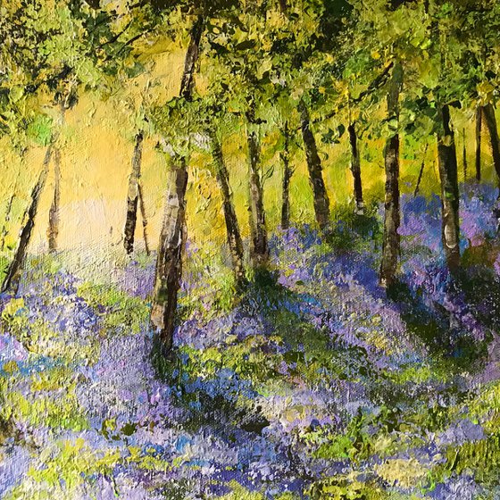 Bluebells no2