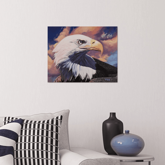 Bald eagle portrait