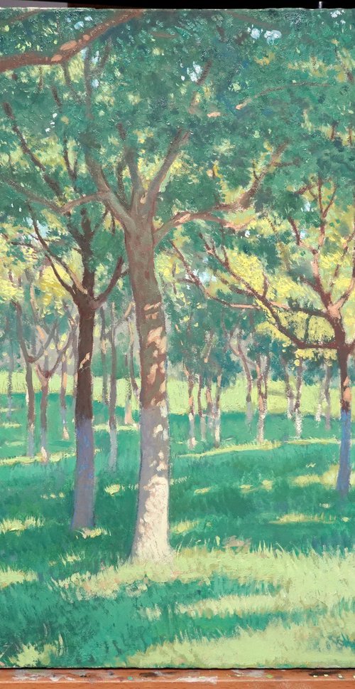 Noonlight in the Woods by RuoShen