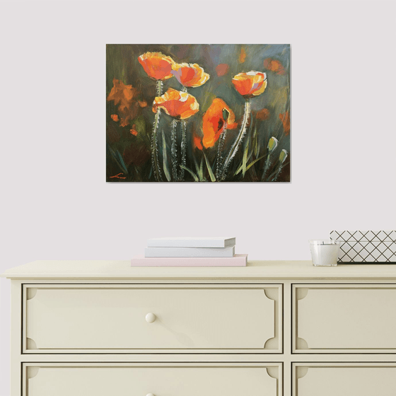 Poppies 2