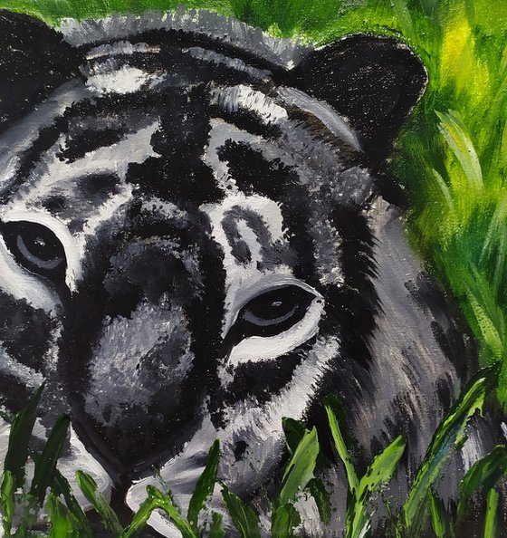 Tiger cub