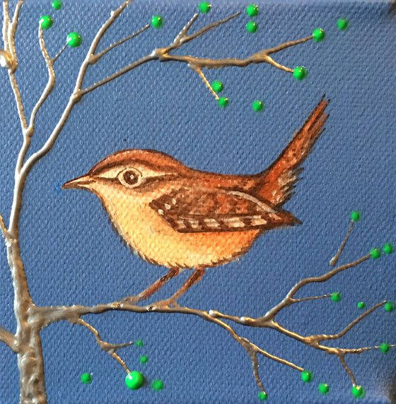 Wren with spring buds