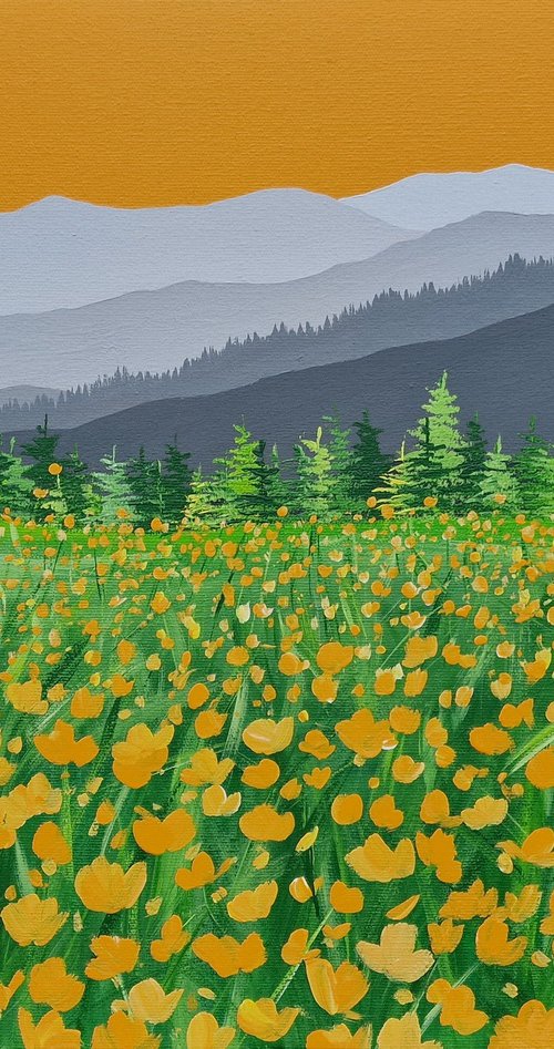 Buttercups at Whinlatter, The Lake District by Sam Martin