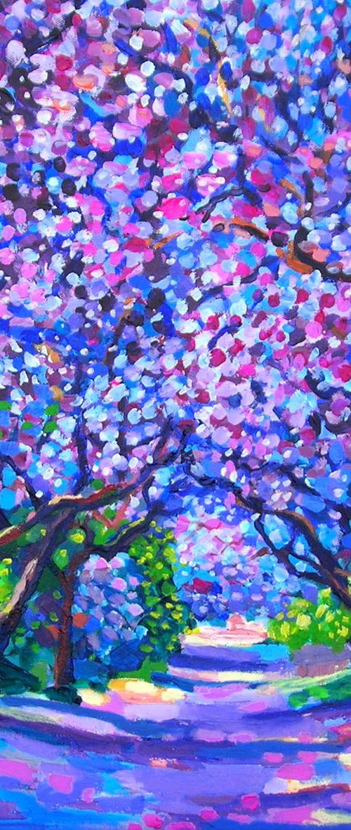 Jacaranda trees by Maja Grecic