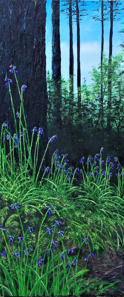 Forest Floor in Spring by Hazel Thomson