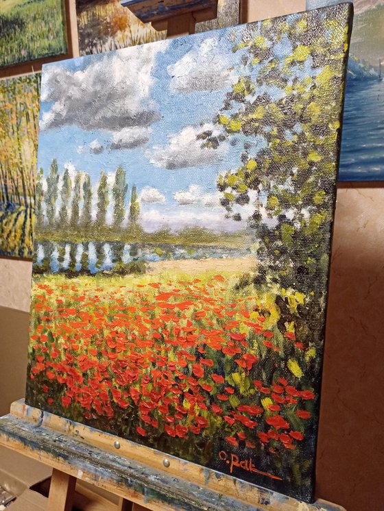 Poppy field by the river