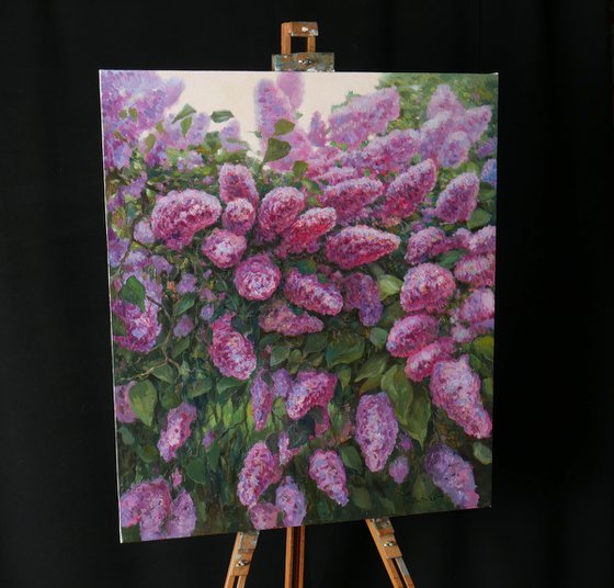 The Sunny Lilac Bush