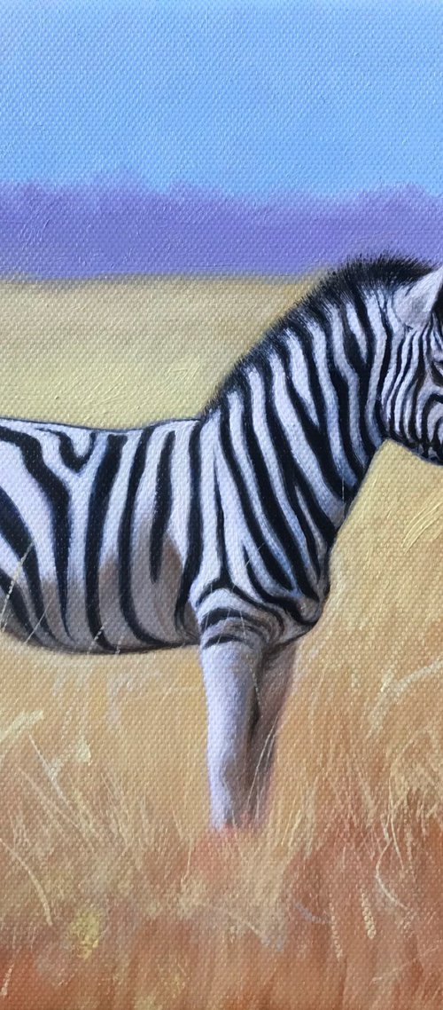 Zebra by Kakajan Charyyev