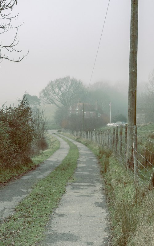 The End of Love Lane by Adam Regan