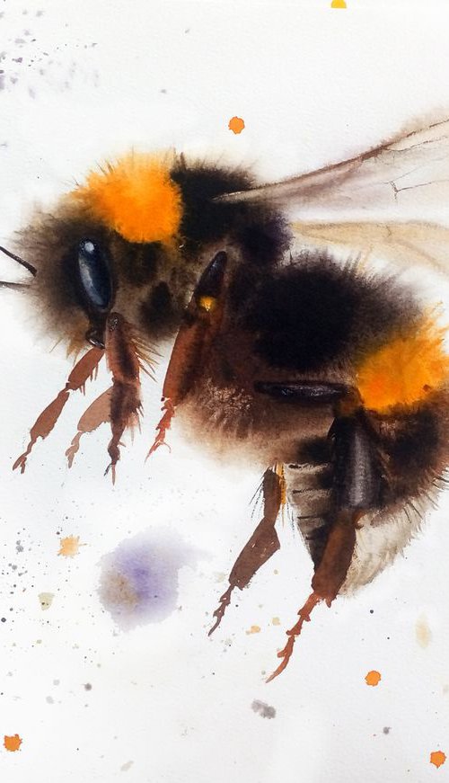 Bumblebee #1 by Olga Beliaeva Watercolour