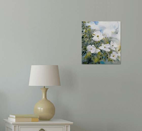 White magnolia flowers