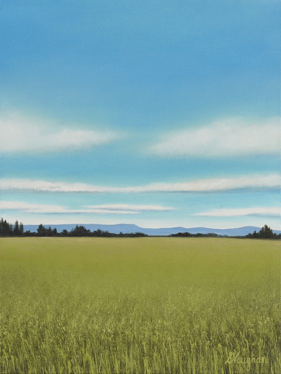 Summer Sky - Blue Sky Landscape