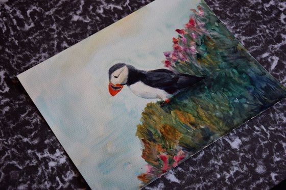 Watercolor painting Icelandic bird Puffin