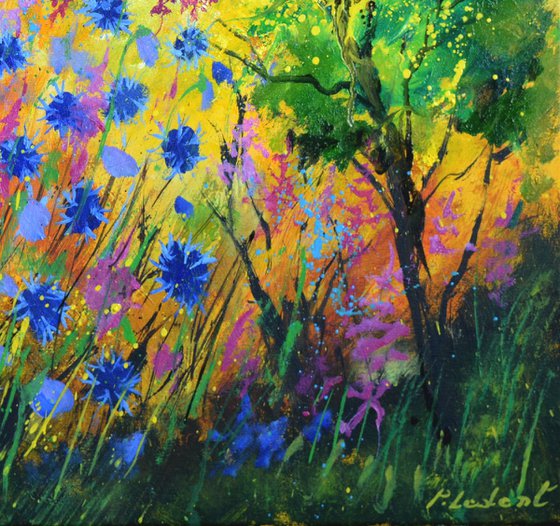 Blue cornflowers  7722