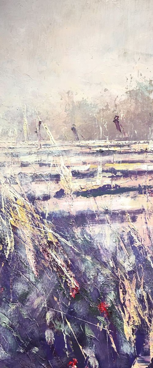 Autumn field low sun by Tom Cringle