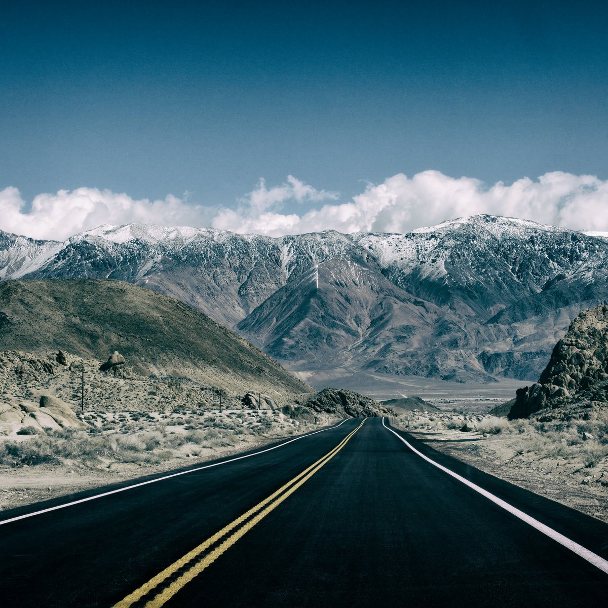 Photorealistic Landscape Photograph By Heike Bohnstengel, 20 X 20, Lone Pine Drive #2, Original Artwork