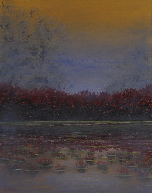 Misty Swamp by Serguei Borodouline