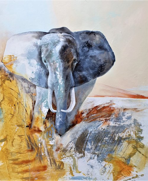 Elephant 1 by Peter Beckett