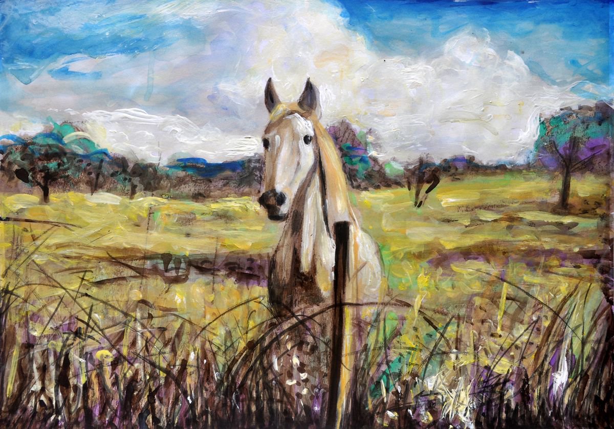 White Horse in Alentejo by Alex Solodov