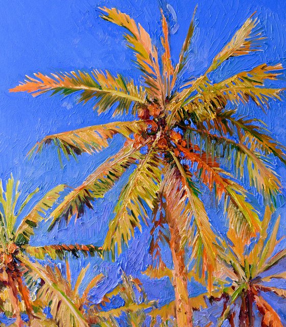 Coconut Palm Trees