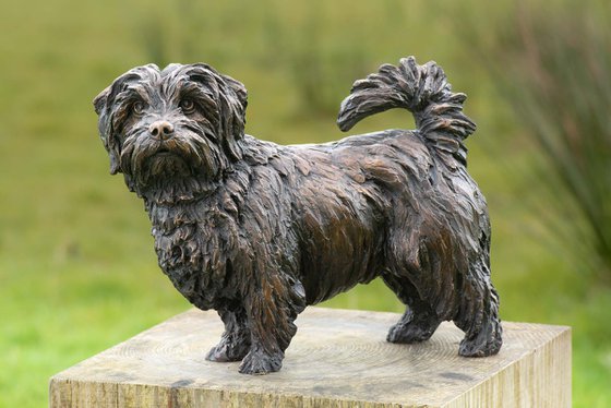 Norfolk Terrier Foundry Bronze