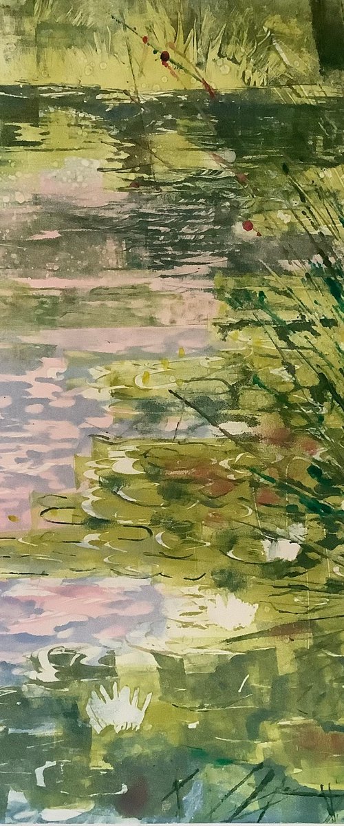 Water lilies by Amanda Averillo