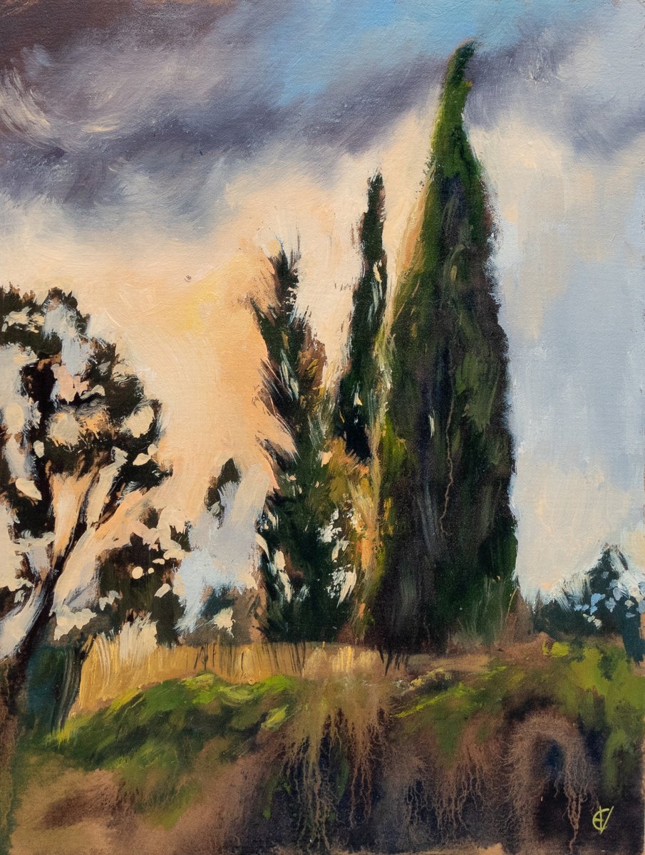 Cypresses by Eve Devore