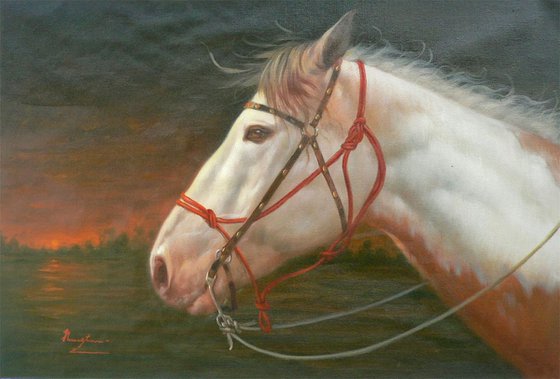 ORIGINAL OIL PAINTING ANIMAL ART HORSE  IN THE SUNSET ON LINEN #16-10-2-05