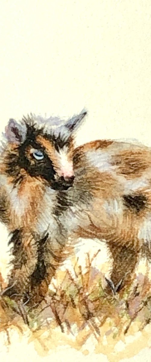 Baby goat miniature painting by Alina Karpova