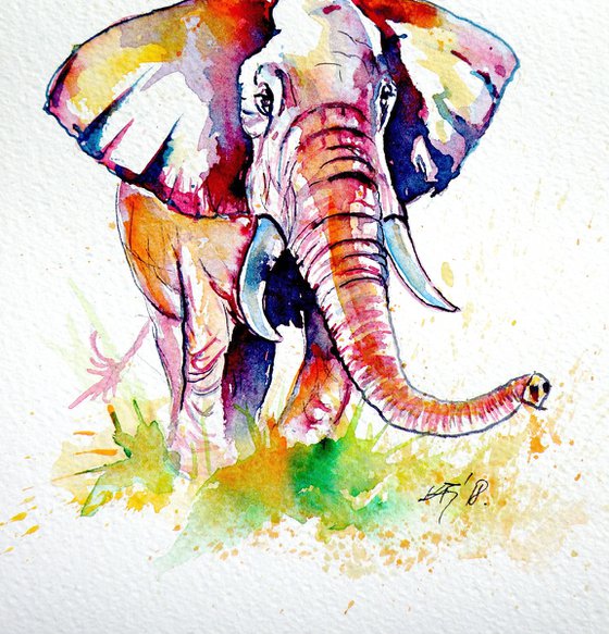 Walk alone - African elephant