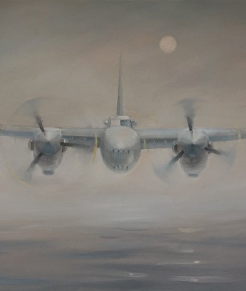 Mosquito by Scott McLachlan