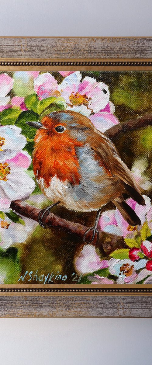 Robin Bird Painting by Natalia Shaykina