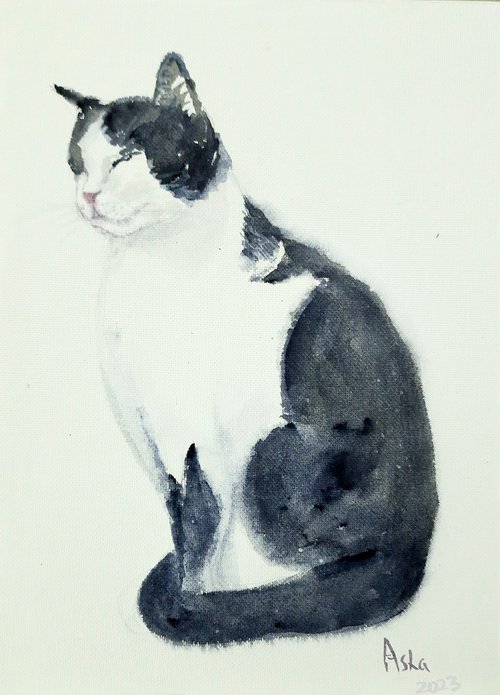 Cat in Meditation by Asha Shenoy