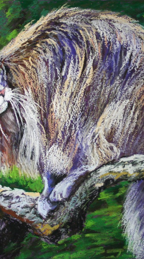 Cat V / FROM THE ANIMAL PORTRAITS SERIES / ORIGINAL OIL PASTEL PAINTING by Salana Art / Svetlana Samovarova