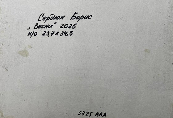 Spring Lake in the Forest