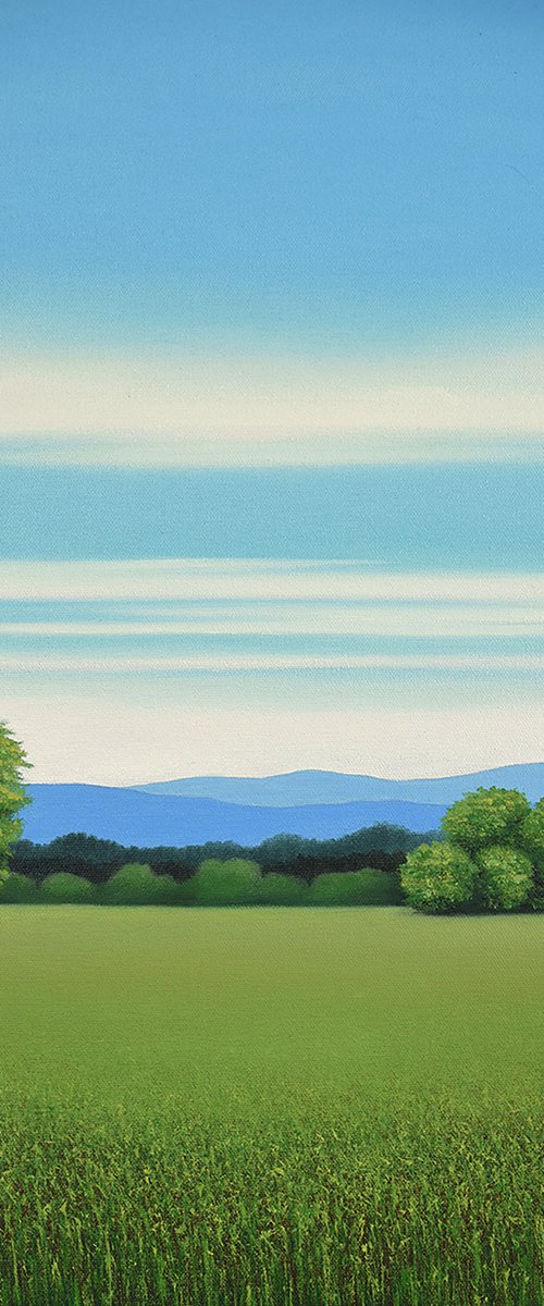Lush Grass - Blue Sky by Suzanne Vaughan